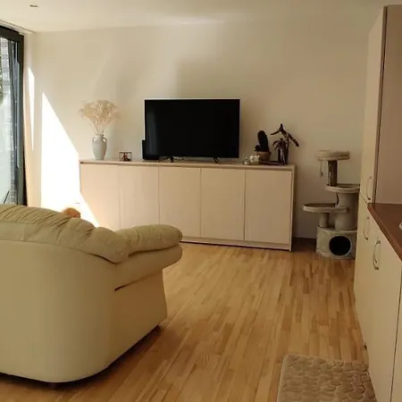 Flat In Apartment Kaunas