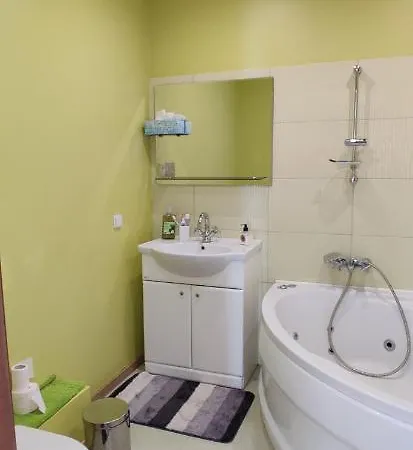Flat In Kaunas
